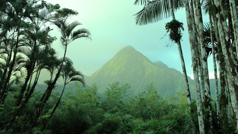 Vivre la Martinique au naturel : les faux pas qu'on voit souvent